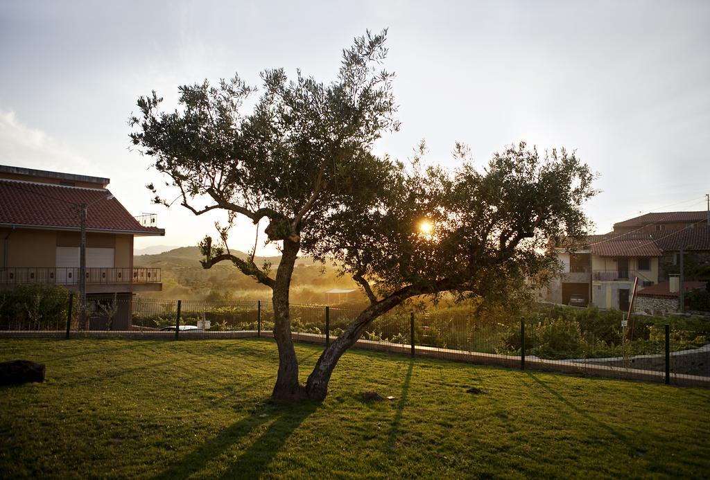 Casas De Vale De Lobo Villa Mirandela Kültér fotó